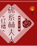 佛系林夫人