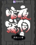 暗夜窥伺