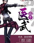 医武高手