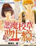 恶魔校草吻上瘾:赖上拽丫头