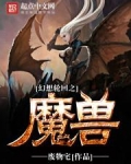 幻想轮回之魔兽