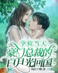 她藏起孕肚跳崖，豪门总裁疯了
