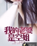 我的老婆是空姐