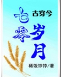 七零岁月[古穿今]