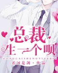 总裁，生一个呗