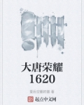 大唐荣耀1620