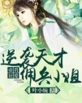 帝君狂爱：逆袭天才佣兵小姐