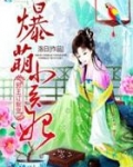 邪王订制宠：爆萌小医妃