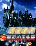 哈利波特：獾院家的平头哥
