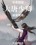 古龙综武:大唐少卿,破案传奇