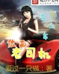 位面老司机
