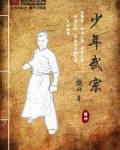少年武宗