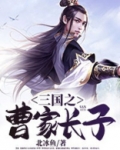三国之曹家长子