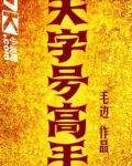 天字号高手