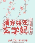 清穿娇宠玄学妃