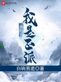 我真的是正派(从山寨NPC到大BOSS)